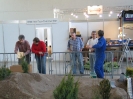 Aufbau Karlsruhe 2012