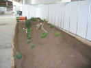 Aufbau Karlsruhe 2012