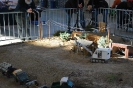 Karlsruhe 2011